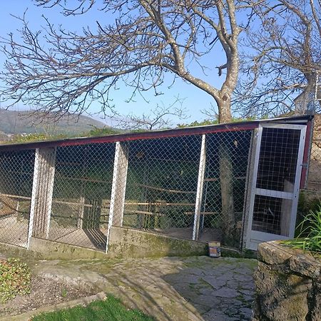 Appartamento Casa de Santa Luzia A Vila Praia de Âncora Esterno foto