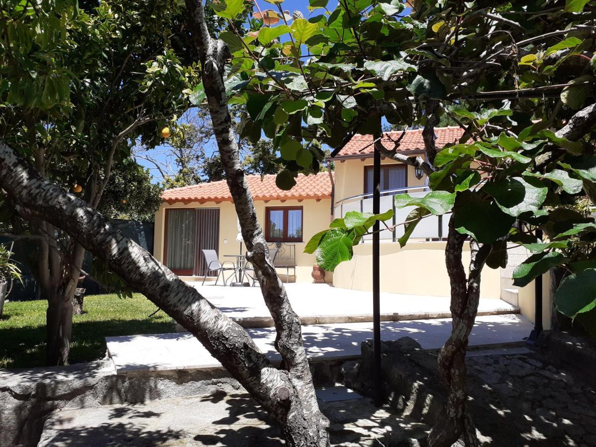 Appartamento Casa de Santa Luzia A Vila Praia de Âncora Esterno foto