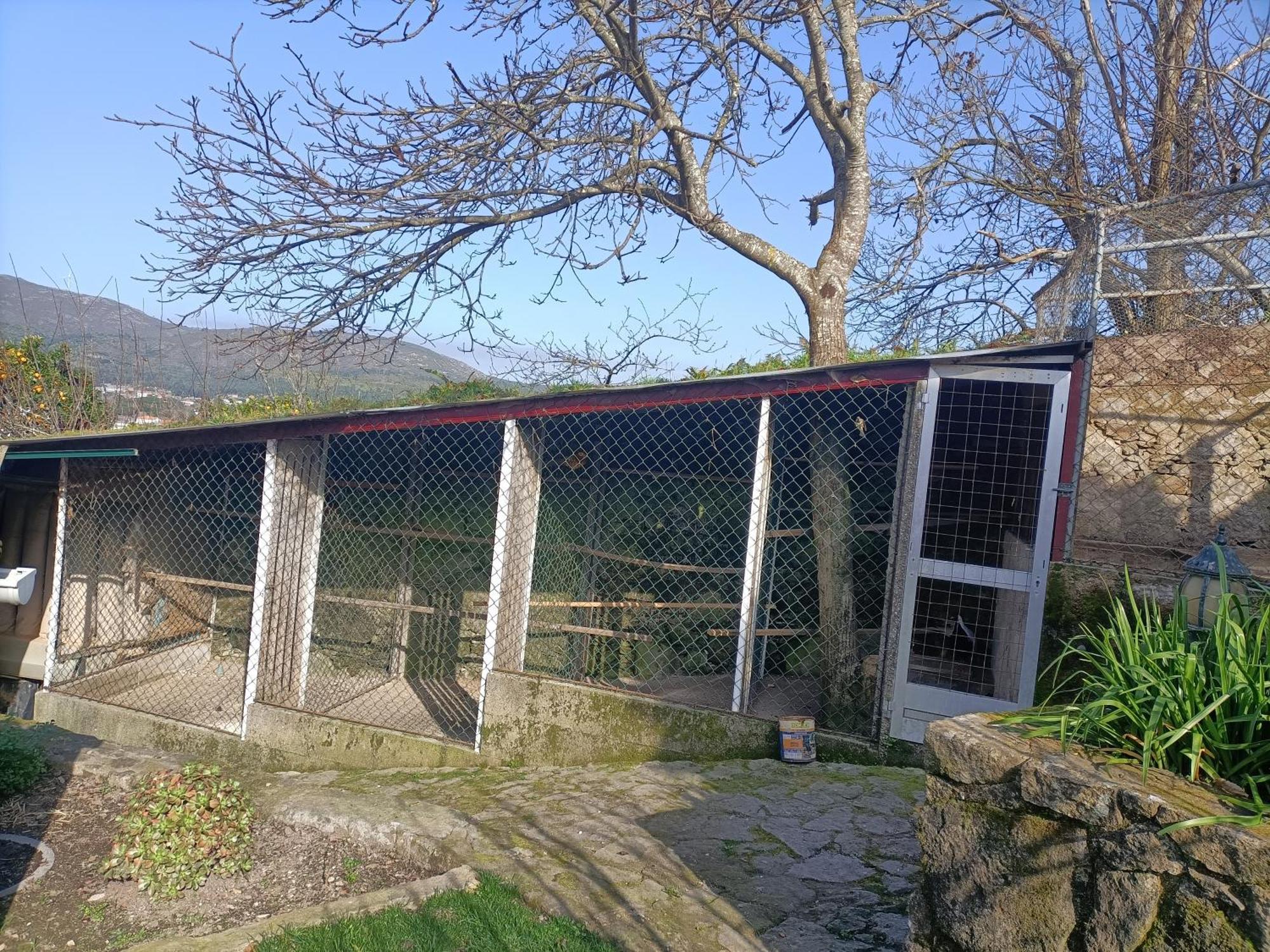 Appartamento Casa de Santa Luzia A Vila Praia de Âncora Esterno foto