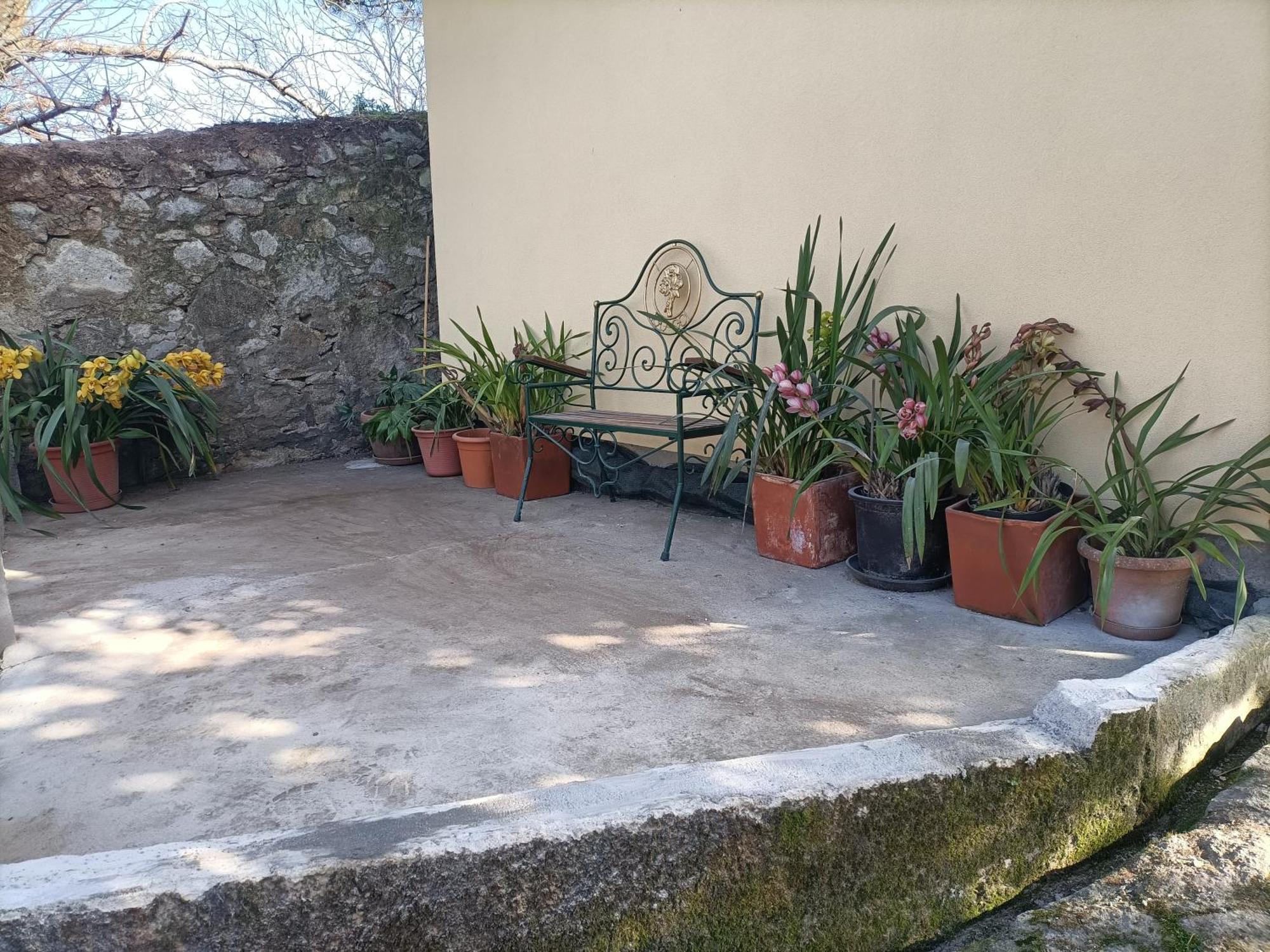 Appartamento Casa de Santa Luzia A Vila Praia de Âncora Esterno foto