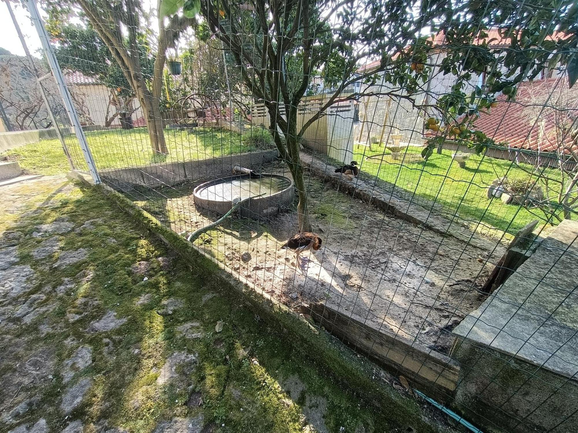Appartamento Casa de Santa Luzia A Vila Praia de Âncora Esterno foto