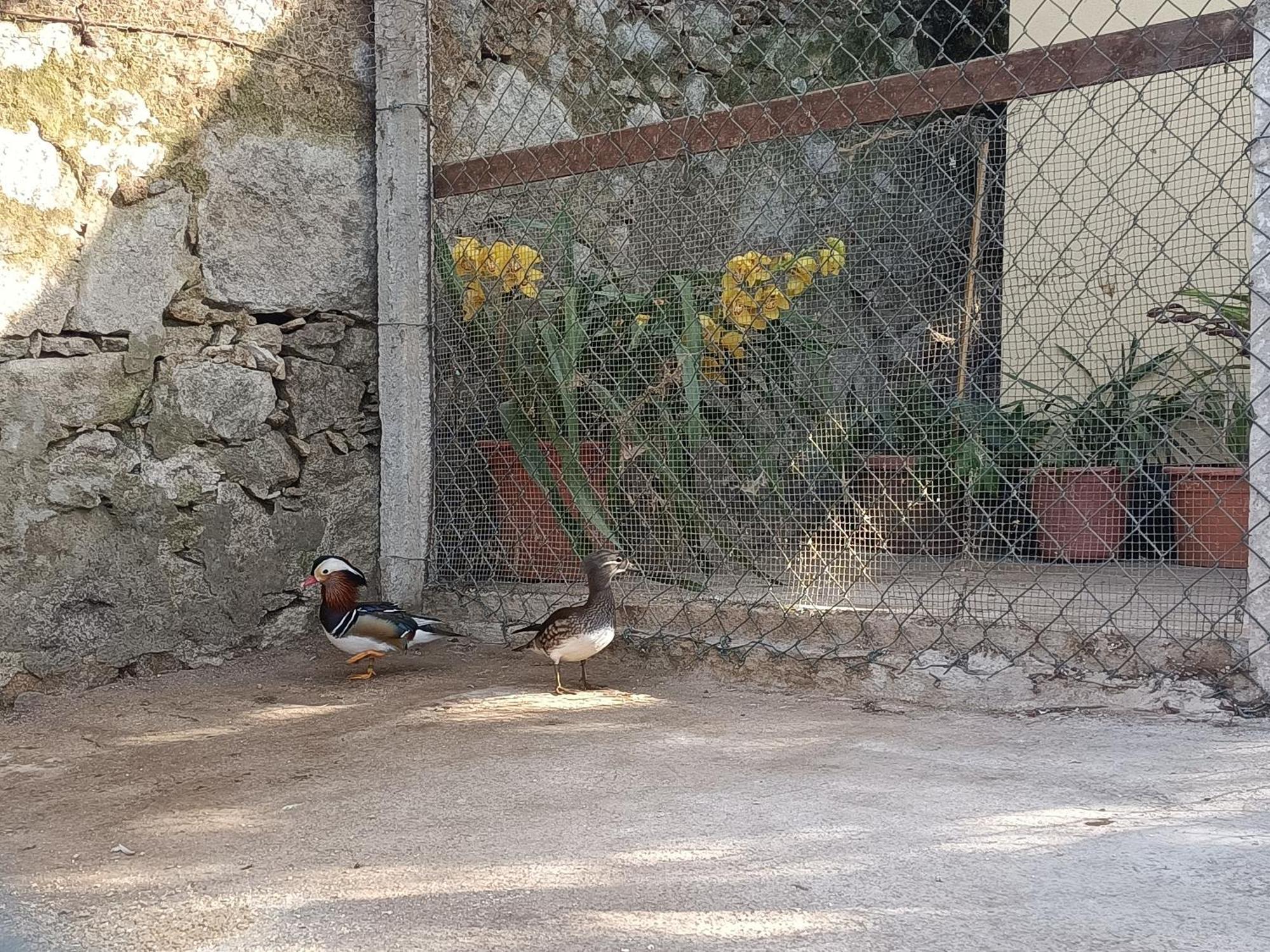 Appartamento Casa de Santa Luzia A Vila Praia de Âncora Esterno foto